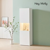 헤이몰리 트레벨 LPM LED 수납 침대 프레임 SS, 오크