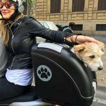 포우버디 애견자전거 캐리어 애견스쿠터 캐리어 이동장 카시트 겸용, 올블랙