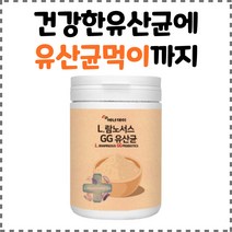에너데이 프랑스산 람노서스 GG유산균 230g, 3통
