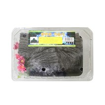 IS 냄새제거 공기정화숯 제습 탈취 방향제숯 냄새제거 공기정화 참숯 숯가습기 탈취숯 제습숯, 본상품