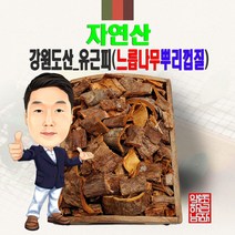 자연산 강원도산_유근피(느릅나무뿌리) 300g/100g (경북 영천) 국내산 국산 야생, 300g