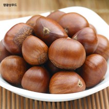 명광성푸드 국내산 공주 밤 중 특대, 공주 밤 (중) 1kg