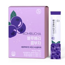 굿프랩 상큼 탄산 콤부차 콤부티 분말 8가지 과일 맛 5g 15개입, 블루베리