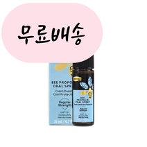 홍박스 뉴질랜드 콤비타 프로폴리스 오랄 목 스프레이 20ml 구매대행, 1개