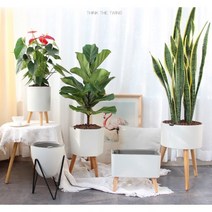 북유럽풍 스마트화분 저면관수시스템 물부족시 자동알림설정, Z505(높은원반형)