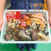 캠핑 모듬 조개 조개구이 조개탕 조개찜 세트 3kg이상, 조개구이 세트 3kg x 1세트