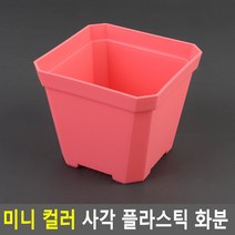 미니 사각 플라스틱 컬러 화분 소형 어린이집 화단 꾸미기 체험 교구 다육이 10x8.5cm 대 핑크