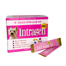 설사 강아지 고양이 인트라젠 구토 유산균