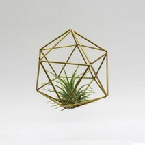 힘메리 다면체 300
