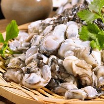 [요리하는남자들] 통영 생굴 깐굴 1kg 삼배체 하프셀 하프쉘 1단 7미 삼배체 석화 굴 석굴 각굴 2kg, 입망석화 2kg