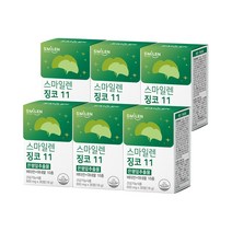 스마일렌 징코 11 은행잎추출물 600mg 30정X6통, 없음