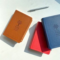 큰글씨 가죽 우리말성경 쉬운말 쉬운 성경책 큰글자 큰글 단본 두란노, 브라운.