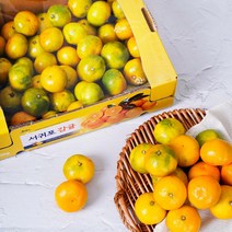 [메가마트]제주 밀감 3kg, 1개