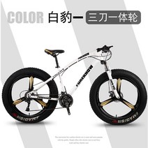 펫자전거 바퀴큰 성인 mtb 팻 바이크, 7단, 26인치, 8. 화이트2