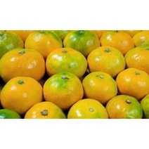 제주 노지감귤 극조생 로얄과 (10월 10일 첫 출고), 중상품 로얄과10kg, 1개