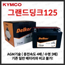 킴코 그랜드딩크 125 AGM 배터리 12V 8Ah