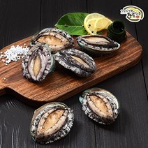 완도전복 [완도전복] 명품완도전복 미소3호 600g(60g-10미), 기타