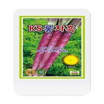 롱자흑당근씨 500립 당근 씨앗 대장 KS종묘