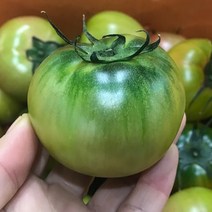 대저 강동 토마토 2.5kg, 1박스, 2.5kg S-3S (5-7번)