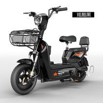 2인승 전동스쿠터 전기바이크 전기 미니 스쿠터, 48V, 14ah, 블랙-22A-120km