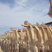 국내산 구룡포 반건조 오징어 원양산구룡포 반건조 오징어, 원양산 반건조 오징어  10미 소소 700g