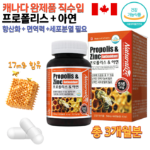 식약처인증 홈쇼핑 약국 캐나다 직수입 완제품 벌꿀 꿀벌 프로폴리스 면역 항산화 작용 도움 플로보노이드 아연 어르신 노인 70대 80대 플로폴리스 환절기 영양제 캡슐 약 3개월분, 516mg 90캡슐