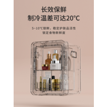 소형냉동고 서랍형냉동고 미니 음식물 가정용 기숙사 원룸 수입차 미니냉장고 렌탈룸 1회용 냉장박스 차 겸용, [22] 12L 흰색/플라스틱 도어/업그레이드(자동차