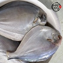 미각기행 손질한 병어 8미(960g 내외), 단일옵션