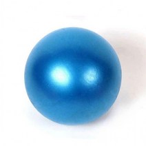 홈트용 미니 짐볼 펌프세트 짐볼헬스 운동공 웨이트볼, 퍼플