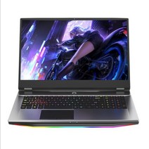 Intel i5-9400F GTX1050Ti 32G 64G 1TB 17.3inch 게임용 노트북 데스크탑 성능 지원 Intel 6789 세대 프로세서 컴퓨터, 호주, 인텔 i5-9400F, i5-9400F 16G-512GB