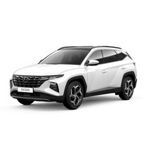 현대 2020 투싼(Tucson) NX4 오토크로바 크롬썬바이저(E054) 6P