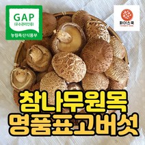 참나무 원목 재배 표고버섯 명품표고버섯 건표고버섯 슬라이스 충남 부여군 농장 산지직송, 건표고버섯 슬라이스 100g