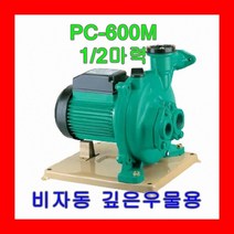 윌로펌프 PC-600M 1/2마력 깊은우물용 비자동