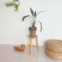 에코상사 고무나무 450 스툴 원형스툴 나무 화분 다이 정리 받침 화장대, 없음