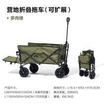 전동웨건 유아웨건 캠핑수레 전동카트 외건 왕발통 휴대용 피크닉카, 캠핑카(확장가능) 다육녹색