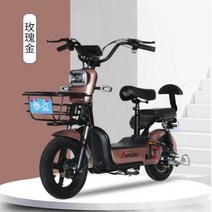 접이식 전기자전거 배달 삼륜 가벼운 출퇴근 신제품 전기 자전거 48V 납산 배터리 2 륜, 03 golden, 01 12a 40km