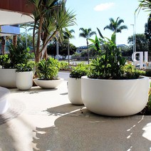 유리 섬유 화분 쇼핑몰 백화점 분재 도자기 꽃 식물, 큰, 화이트 140xH100cm