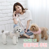 리토가토 러비 커스텀 캐릭터 강아지 하네스 + 리드줄 세트 5종 (컴퓨터 자수) 동물학교 추천, 민트