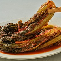 여수 나래식품 돌산 묵은 갓김치 1kg 국내산 김치 숙성, 숙성갓김치 2kg