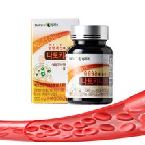 낫토키나제 혈행개선 낫토키나제 약2개월 영양제, 60정, 1개