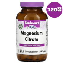 블루보넷 구연산 마그네슘 시트레이트 400mg 120정 2개월분