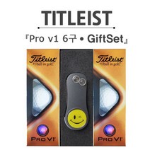 브라더스골프 타이틀리스트 Pro V1 6구 골프공 그린보수기 선물세트, 화이트