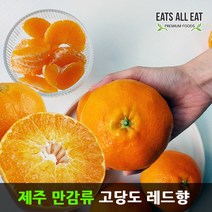 이츠올릿 제주 감귤 레드향 3kg (못난이 중소17과) 제주도 하우스 귤 택배 선물 세트