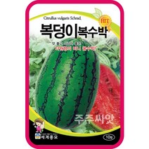 복수박 씨앗 10립 복덩이 수박 여름과일 종자 watermelon seed 과일채소, 단품