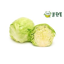 풍원영농조합법인 아삭한 양배추, 못난이 양배추 1BOX, 3.5KG내외
