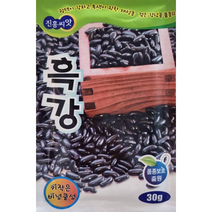 흑강 강낭콩씨앗30g 진흥종묘 광택이 강하고 흑색이 진한 왜성종 검은 강낭콩 품종