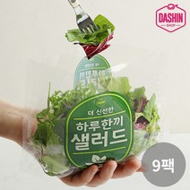 [다신샵] 3회세척 신선한 하루한끼 샐러드 믹스/ 6가지야채, 9팩