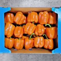 주황 파프리카 500g