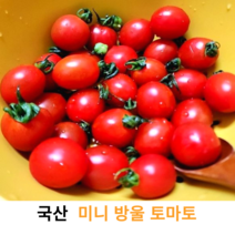 국내산 신선한 고당도 미니 대추 방울 토마토 1kg 국산 싱싱한 방울 토마토 방토 미니토마토 착한가격, 5kg
