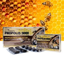 네이쳐스그린웨이 플라보노이드 호주산 프로폴리스 5000mg 120캡슐, 1개